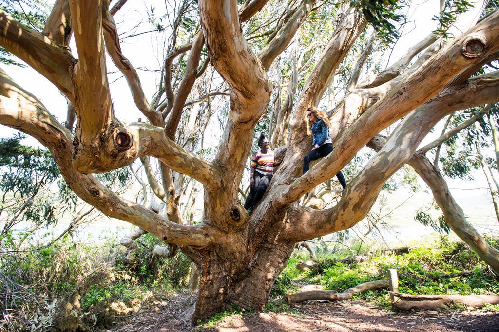Hi Marin Headlands Hostel Саусалито Экстерьер фото