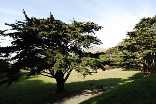 Hi Marin Headlands Hostel Саусалито Экстерьер фото